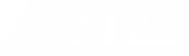 NZT logo